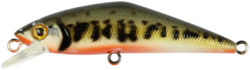 Smith D-Contact SP