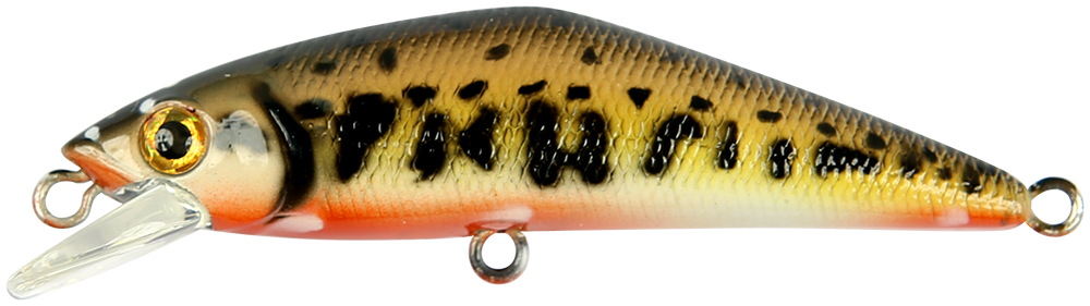 Smith D-Contact SP