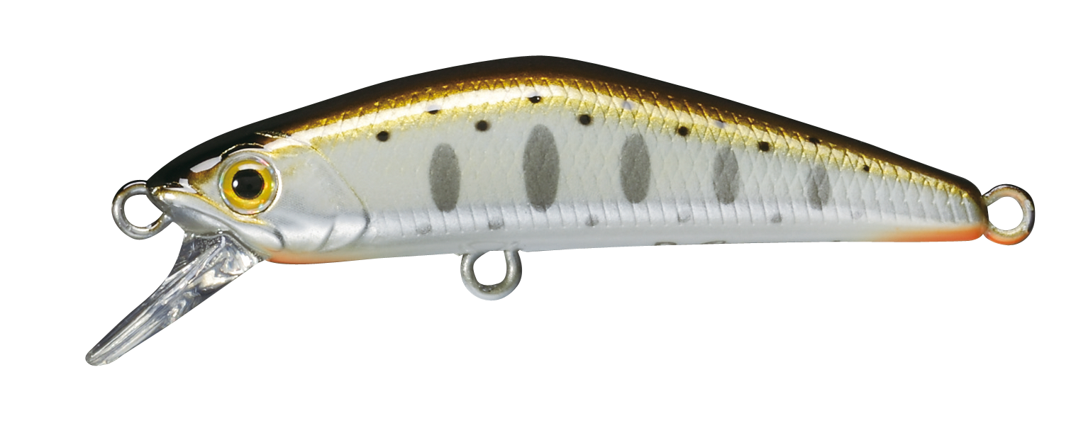 Smith D-Compact