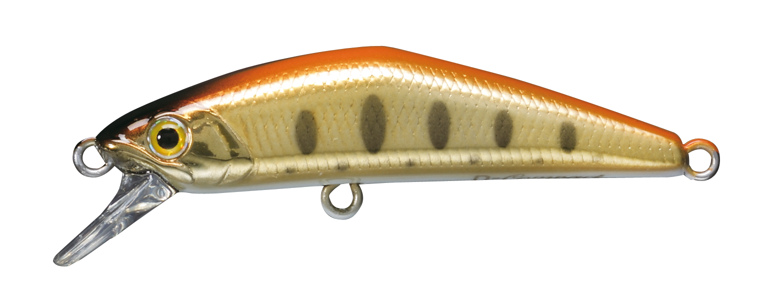 Smith D-Compact