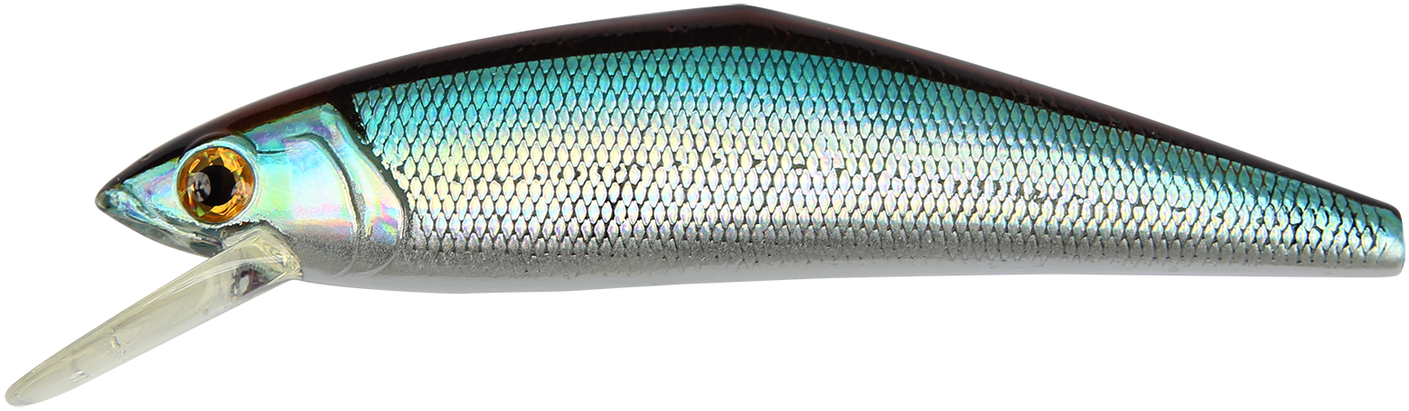 Smith D-Contact Saltwater